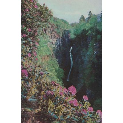 The Falls Of Measach Flowers Gorge Of Corrieshalloch Postcard