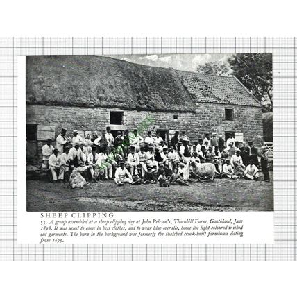 John Peirson Thornhill Farm Goathland - 1970s Cutting