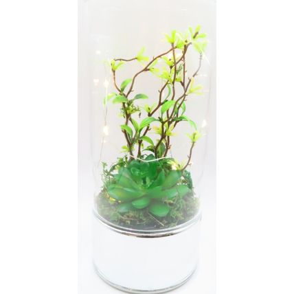Terrarium with Faux Plants Tube LED Lights Glass LED 20 CM Gift Home Decor