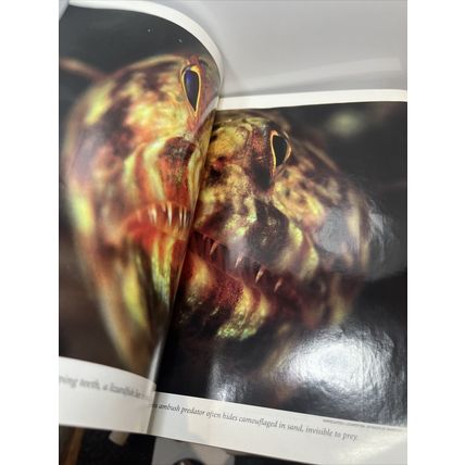 National Geographic Magazine November 2004 Was Darwin Wrong Vintage Collectible
