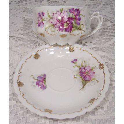 N D & CO Nowotny & Dressle CARLSBAD CHINA AUSTRIA Teacup & Saucer Unique Design