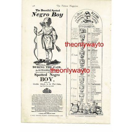 BEAUTIFUL SPOTTED BLACK BOY, DRUNKOMETER THERMOMETER , Book Illustration, 1895