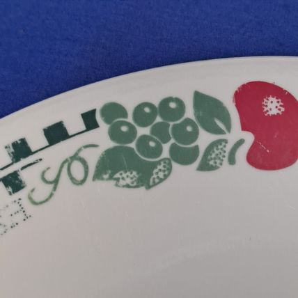 Vintage Lot 2 CORELLE By Corning FARM FRESH 10 1/4" DINNER PLATES salad