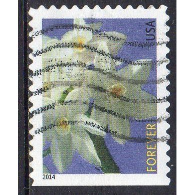 USA 2014 Winter Flowers - Jonquil Paperwhite Forever Used
