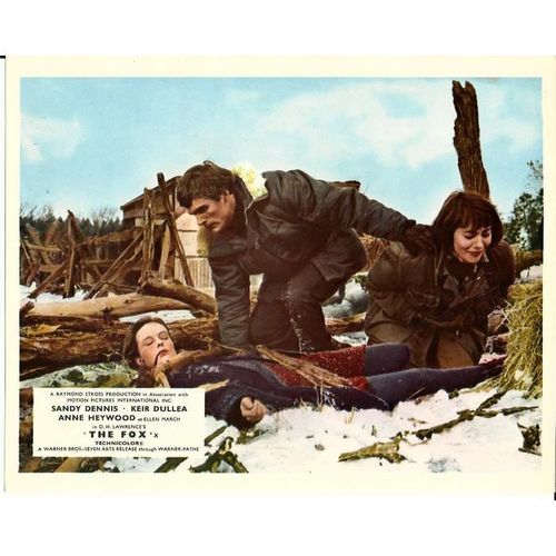 THE FOX Sandy Dennis, Keir Dullea, Anne Heywood 1967 F-O-H Stills Set (8)