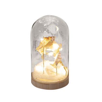 Sea Shell Glass Dome Ornament LED Light 17 CM Gift Home Decor Christmas