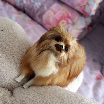 REALISTIC POMERANIAN DOG PLUSH STUFFED TOY Like Real Kids Toy And Adult