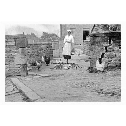 pt4729 - Denby Dale Toby Wood Farm , Yorkshire - Print 6x4