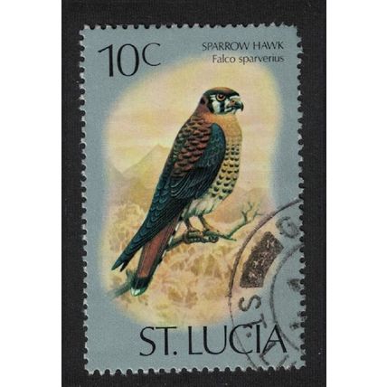 St. Lucia American kestrel Sparrow Hawk Bird 10c 1976 Canc SG#421