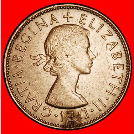 Ⰶ KANGAROO RIGHT (1953-1955): AUSTRALIA ★ 1/2 PENNY 1953! ★LOW START★NO RESERVE