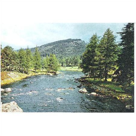 Invercauld, Aberdeenshire - River Dee - Dixon postcard c.1960s