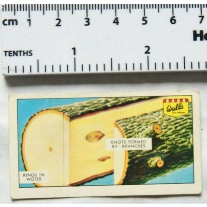 1966 Wall's Ice Cream Do You Know No. 21 what Causes Knots & Grains in Wood?