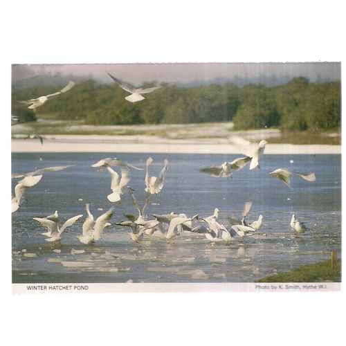 WINTER HATCHET POND. Hythe W.I. vintage postcard unposted Hampshire W.I. =