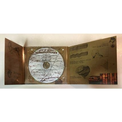 MUSICOLOGY by PRINCE (CD, 2004 - Columbia - USA) Very Good Condition To Like New