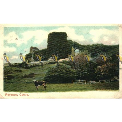 Pevensey Castle, Sussex, Peacock Autochrome, Postcard, 1904