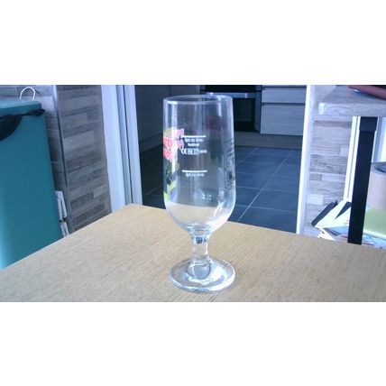 DUDLEY WINTER ALES FAYRE 2017 (James Whale Commemorative) Glass (Frankenstein)