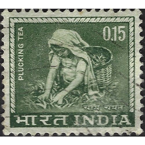 INDIA, Tea Picking, green-grey 1965, 0.15Rs, #3