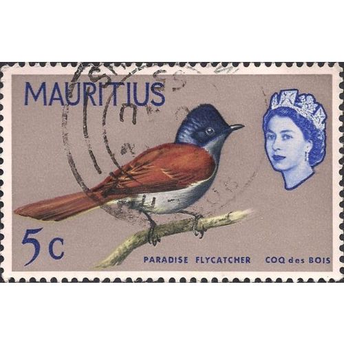 MAURITIUS, BIRDS, Paradise Flycatcher, grey 1965, 5c
