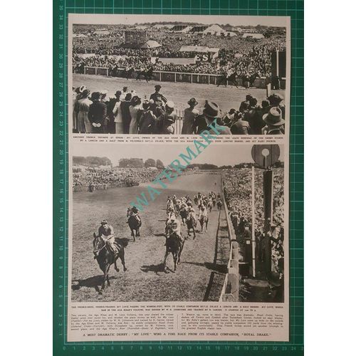 (X370) Horse MY LOVE Aga Khan Leon Volterra Derby Race - 1948 Clip