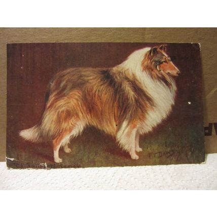 SPRATT'S used antique postcard 1902? pm COLLIE DOG /