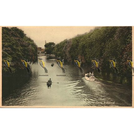 River Ouse, Bedford, Beds, National Series Postcard, 1948
