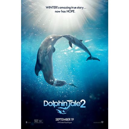 Dolphin Tale 2 (2014)_1 Movie Film Poster Canvas iconic design
