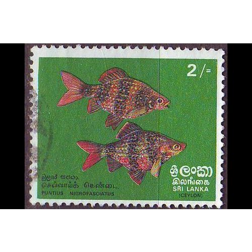CEYLON SRI LANKA [1972] MiNr 0431 ( O/used ) Fische