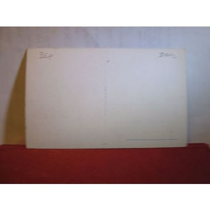 SALO, ITALY painted by Pitt E Polesello unused vintage postcard =
