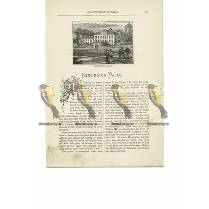 Kensington Palace, London, Book Illustration (Print), 1891