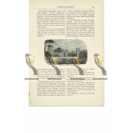 Warwick Castle, Warkwickshire, Book Illustration (Print), 1891