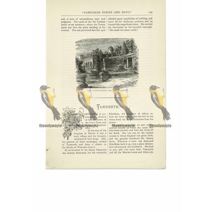 Alton, Conservatories & Alcove, Staffordshire, Book Illustration (Print), 1891