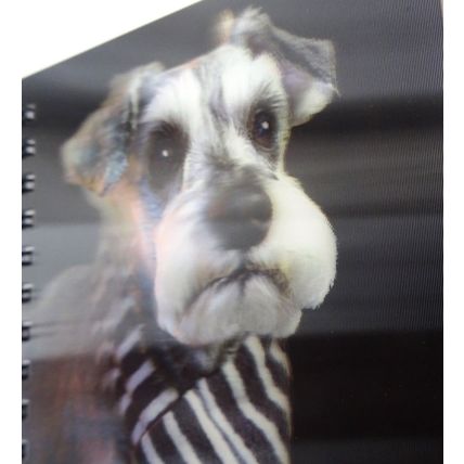 Schnauzer3D Notebook 363 great gift for a Schnauzer lover