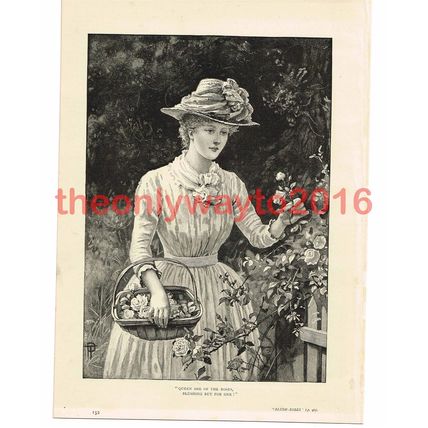 Queen of Blush Roses, Victorian Art, Book Illustration (Print), c1887