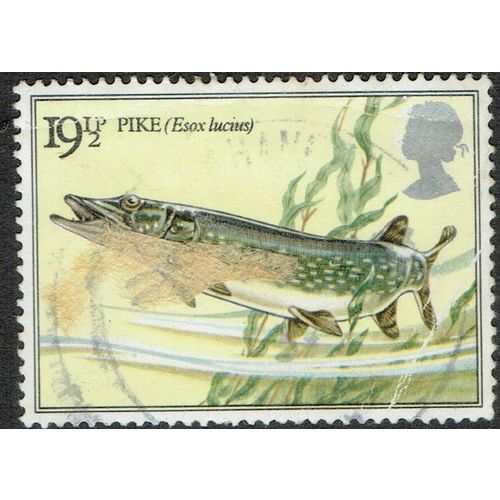 1983 British River Fish 19 ½p Multicoloured SG1208 GU