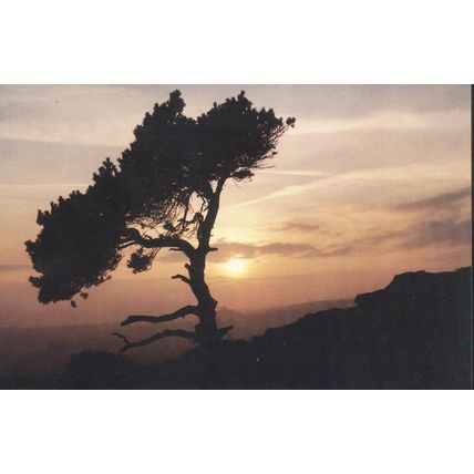 Dusk at Black Rocks, Wirksworth, Derbyshire