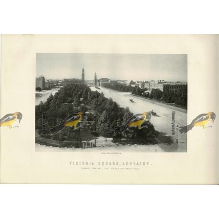 Victoria Square, Adelaide, Australia, Book Illustration (Print), 1899