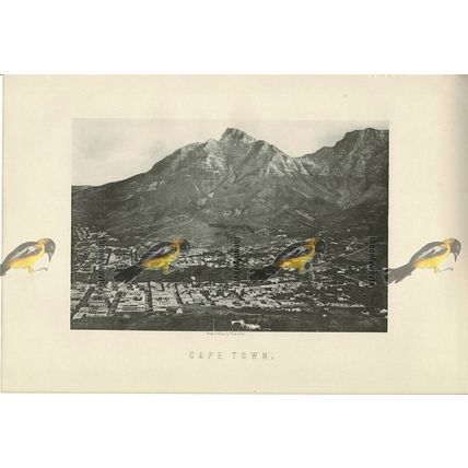 Cape Town, South Africa, Book Illustration (Print), 1899