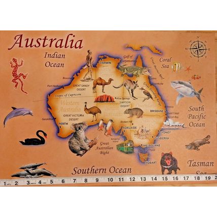 Australia 14 X 20 Illustrated Country Map On Canvas Wood Framed Oceans & Sealife