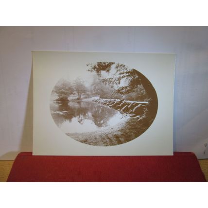 TARR STEPS, SOMERSET, Exmoor unused postcard by Vikki Collard dated 1982 =