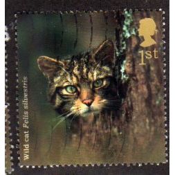 Great Britain 2004 Woodland Animals 1st Wild Cat Used SG 2483 Sc 2232 stamp