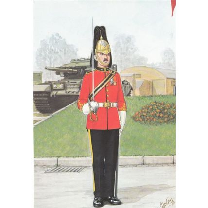 Warrant Officer Escort To The Guidon The Royal Canadian Dragoons Uniform U11868