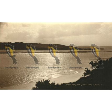 Padstow, Sand Dunes, Cornwall, Rare Judges RP Postcard
