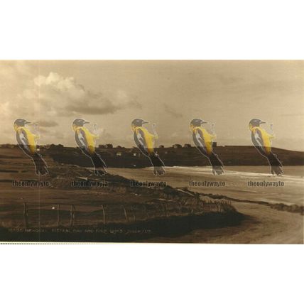 Newquay, Fistral Bay & Golf Links, Cornwall, Judges RP Postcard