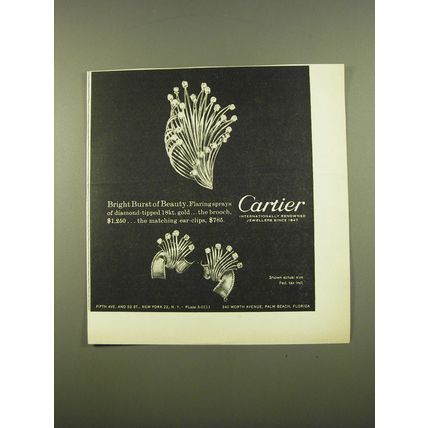 1961 Cartier Brooch and Ear-Clips Advertisement - Bright Burst of Beauty