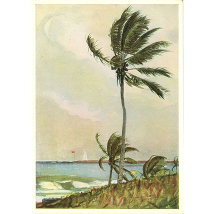 Winslow Homer Palm Tree Nassau Victorian Painting Postcard