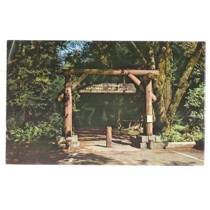 GATEWAY TO MUIR WOODS NATIONAL MONUMENT, CALIFORNIA, USA unused postcard =