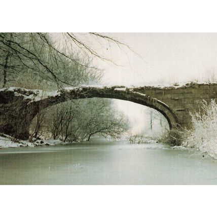 Hardwick Park Bridge at Christmas Sedgefield Durham Postcard
