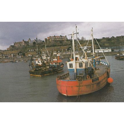 The Fish Market Folkestone Kent Harbour Limited Edition Postcard