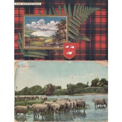Tartan Loch Bannoch WW1 Wartime Scottish Sheep Bathing 2x War Postcard s