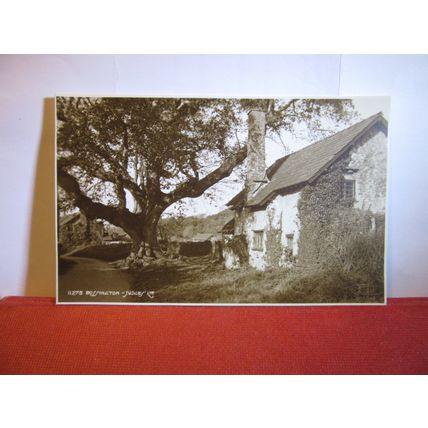 BOSSINGTON. SOMERSET unused postcard by Judges =